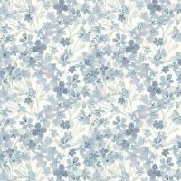 dsSTELLA-DCJ3489 EGRET